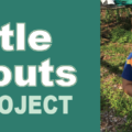 Little Sprouts Project